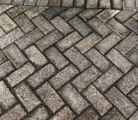 The same paver path before, grey and mildewed.